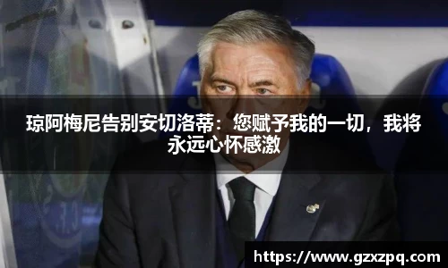 辉达平台娱乐