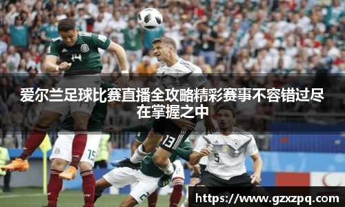 辉达平台娱乐