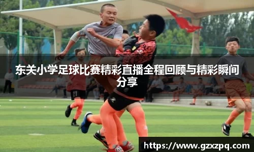 辉达娱乐下载