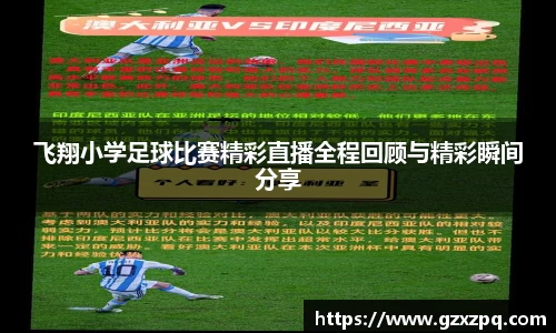  辉达娱乐官网