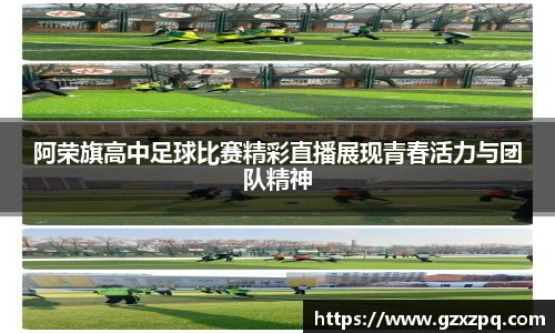 辉达娱乐下载