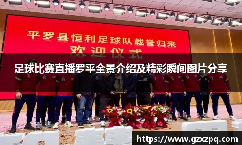 辉达娱乐下载
