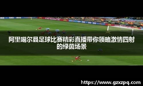 辉达娱乐下载